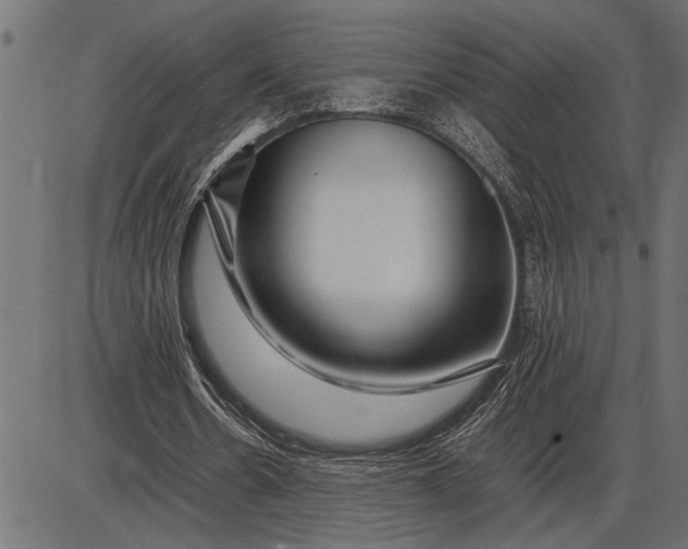 X0000086090530200704091329