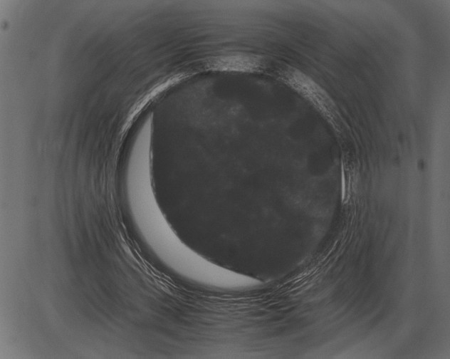 X0000086090531200704091329