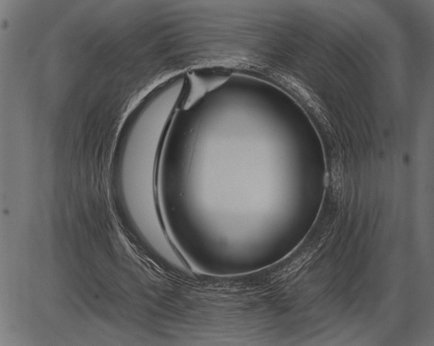 X0000086090532200704091329