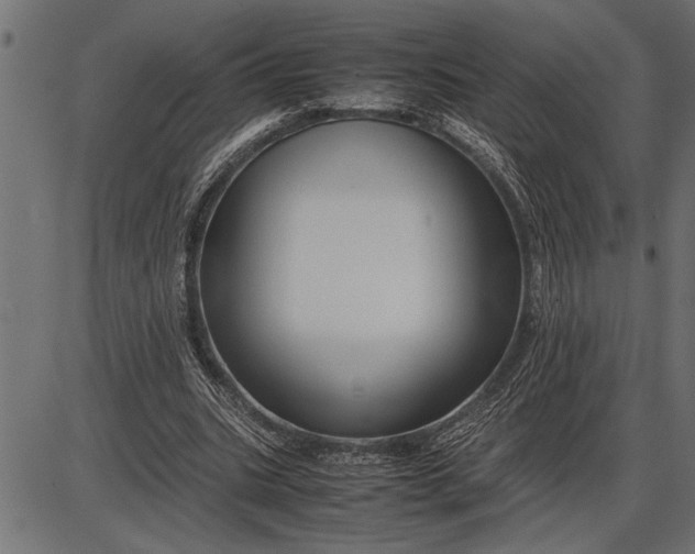 X0000086090535200704091329