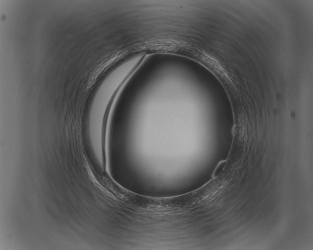 X0000086090538200704091329