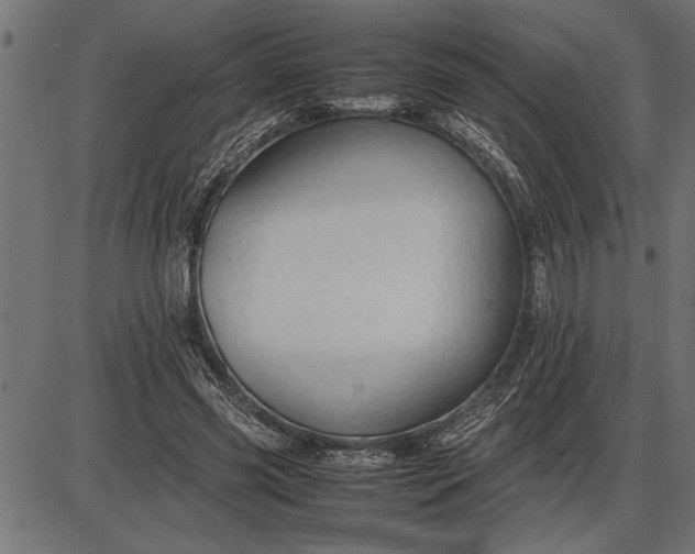 X0000086090541200704091329