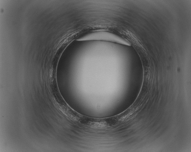 X0000086090548200704091329