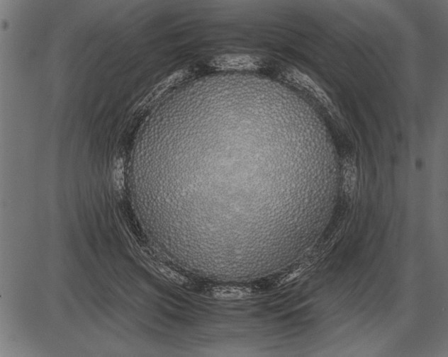 X0000086090549200704091329