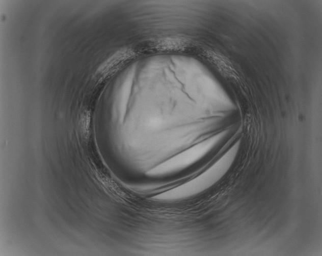 X0000086090550200704091329