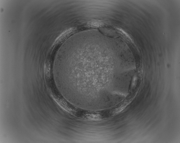 X0000086090552200704091329