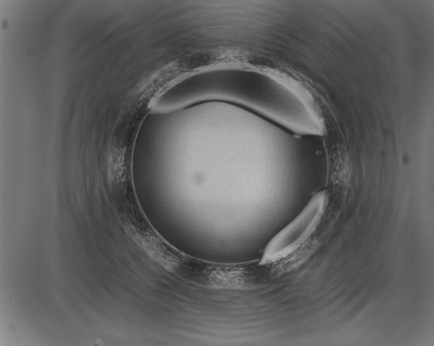 X0000086090560200704091329