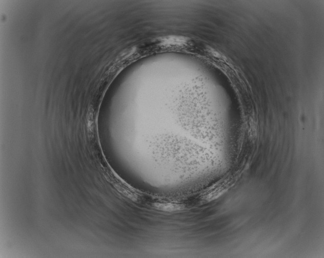 X0000086090561200704091329