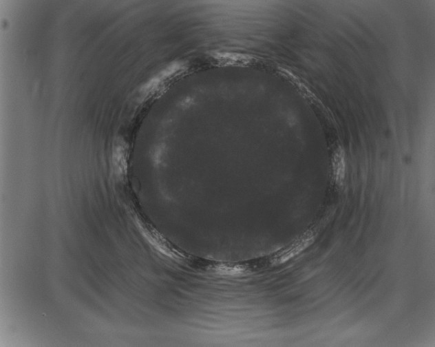 X0000086090570200704091330