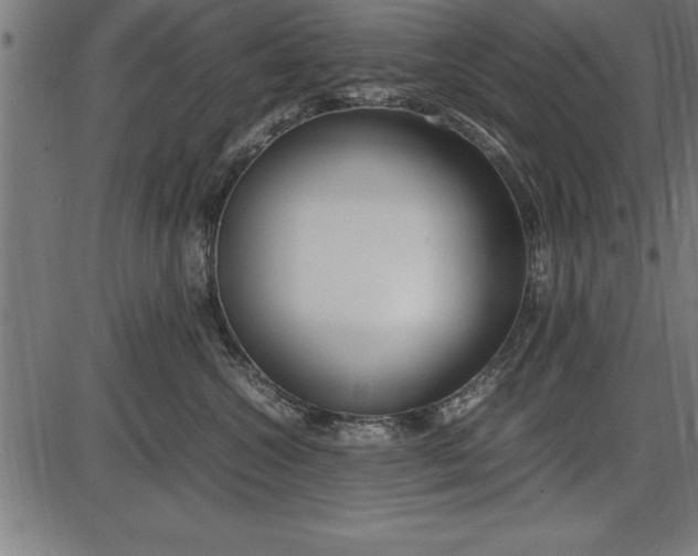 X0000086090572200704091330