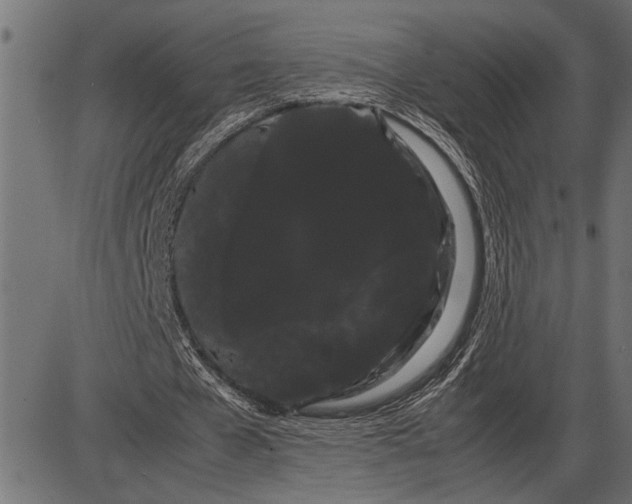 X0000086090577200704091329