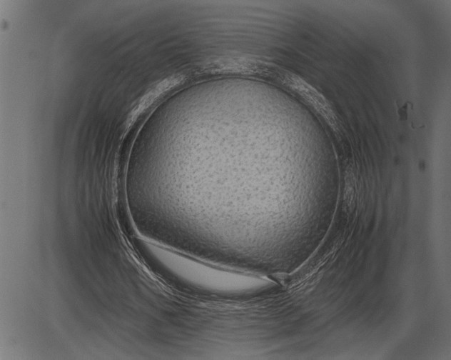 X0000086090578200704091329