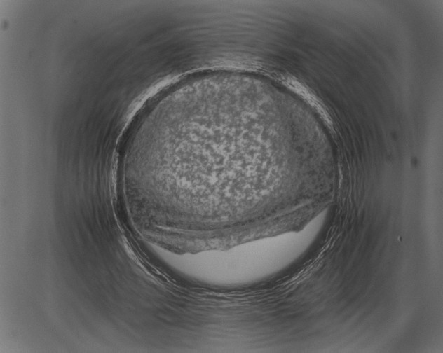 X0000086090580200704091329