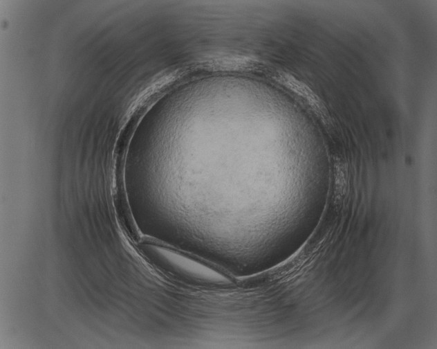 X0000086090582200704091329