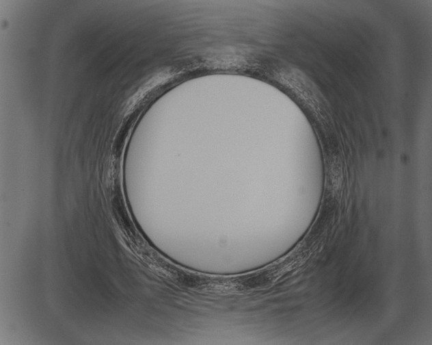 X0000086090583200704091329