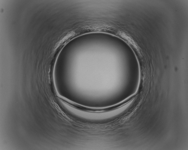 X0000086090585200704091329