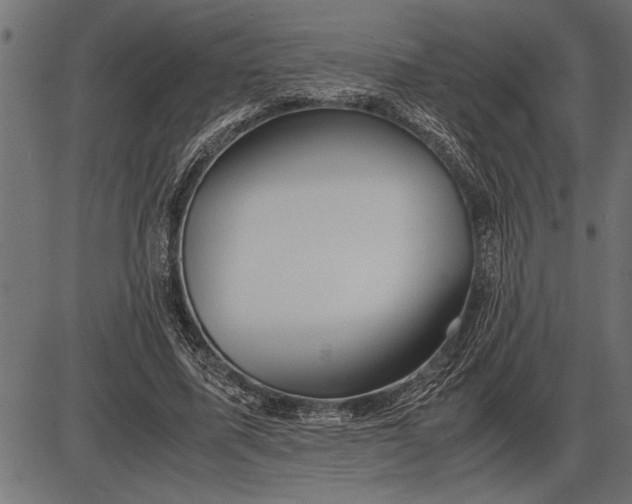 X0000086090587200704091329