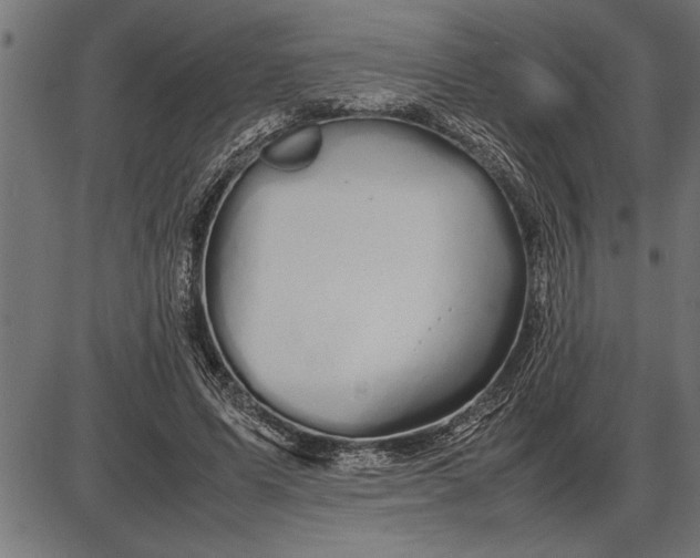 X0000086090591200704091329