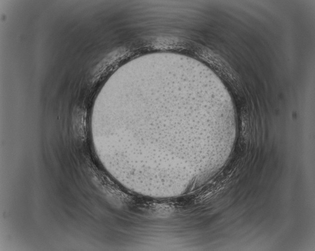 X0000086090592200704091329