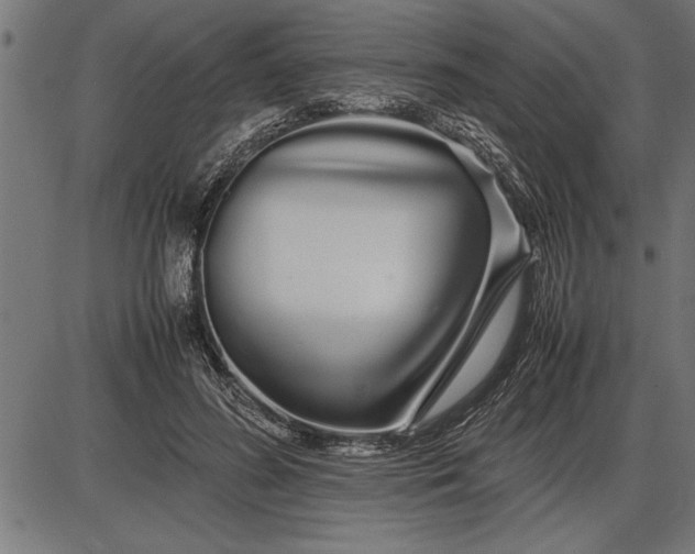 X0000086090596200704091329