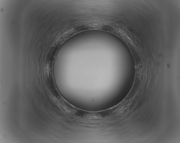 X0000086090597200704091329