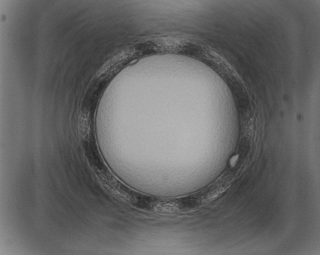 X0000086090599200704091328