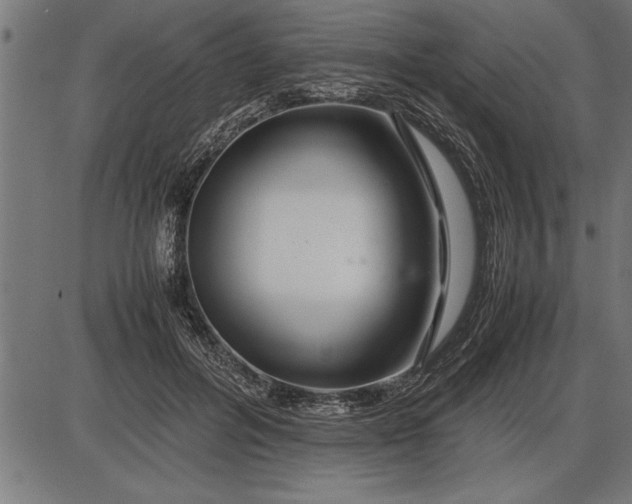 X0000086090600200704091328