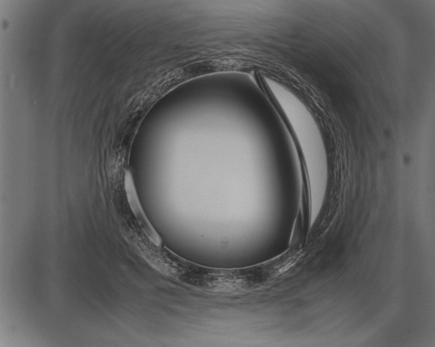 X0000086090601200704091328