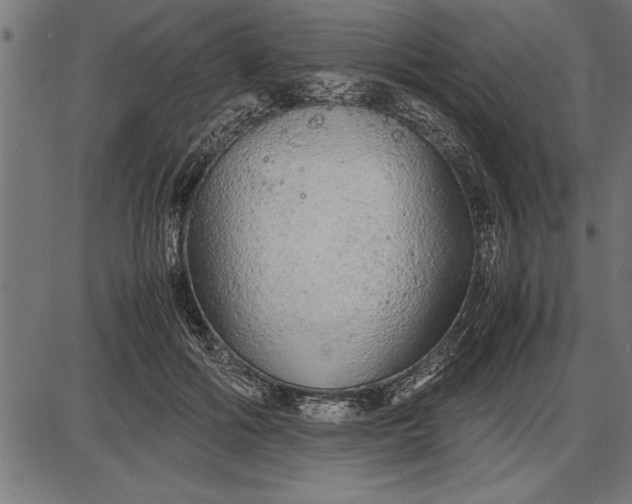 X0000086090602200704091328