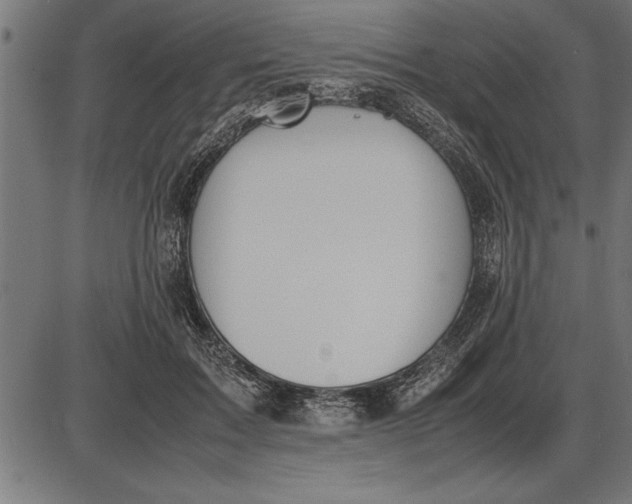 X0000086090603200704091328