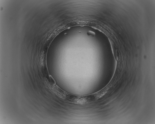 X0000086090604200704091328