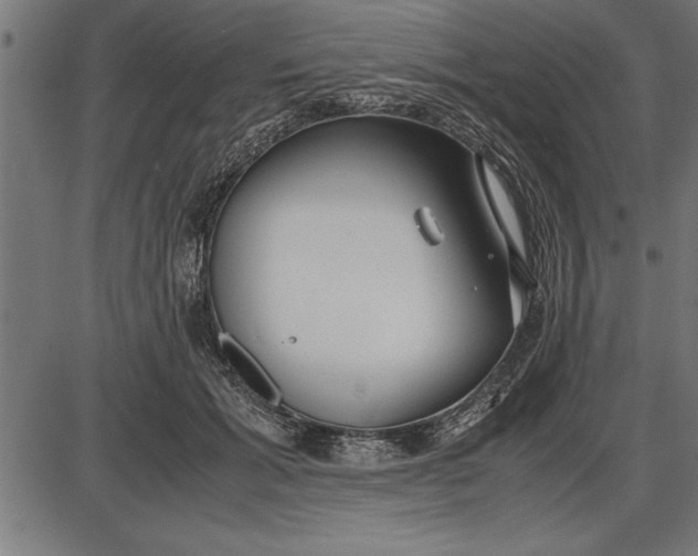 X0000086090605200704091328