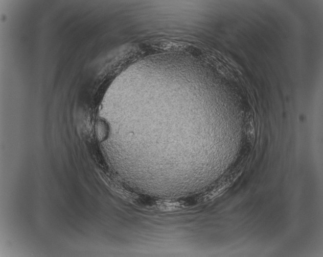 X0000086090607200704091328