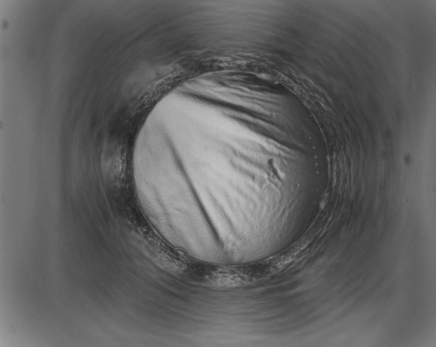 X0000086090608200704091328