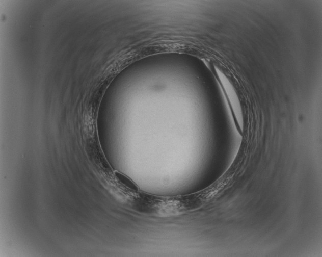 X0000086090609200704091328