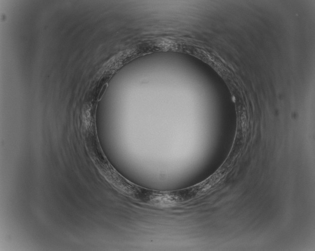 X0000086090611200704091328