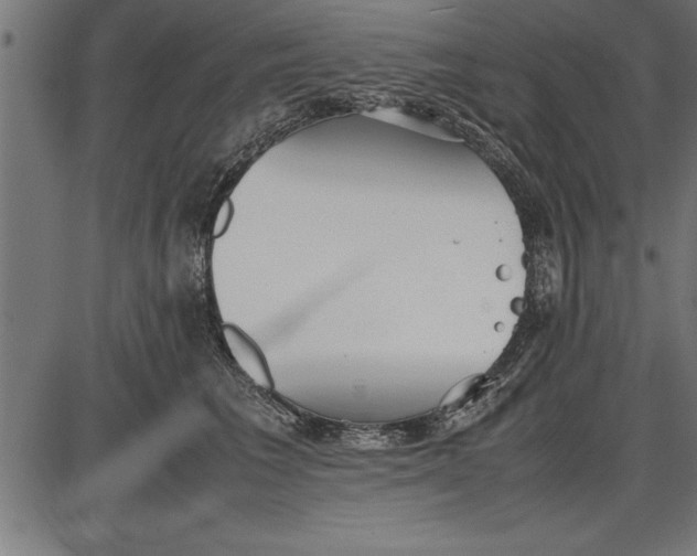 X0000086090613200704091328