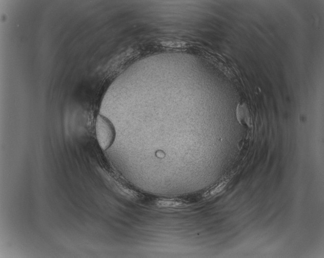 X0000086090614200704091328