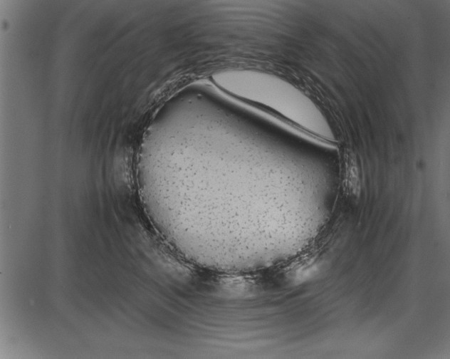 X0000086090616200704091328