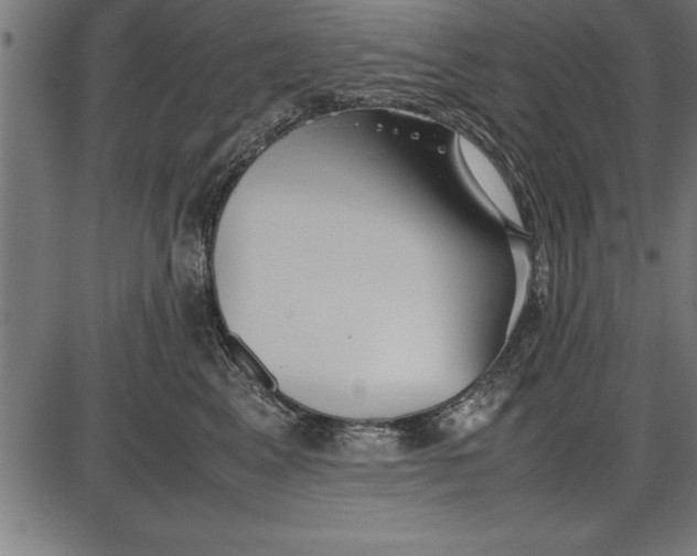 X0000086090617200704091328