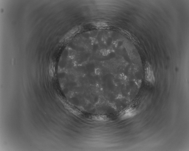 X0000086090618200704091328