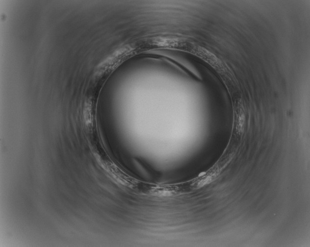 X0000086090620200704091328