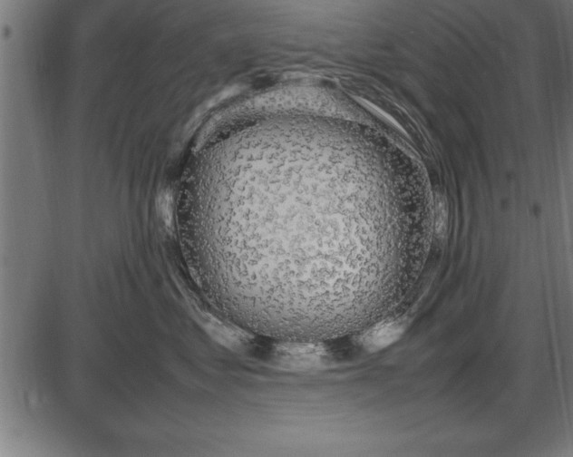 X0000086090621200704091328