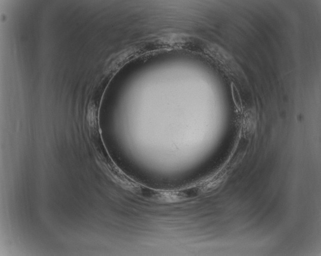 X0000086090623200704091328