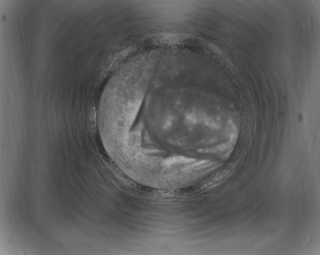 X0000086090624200704091328