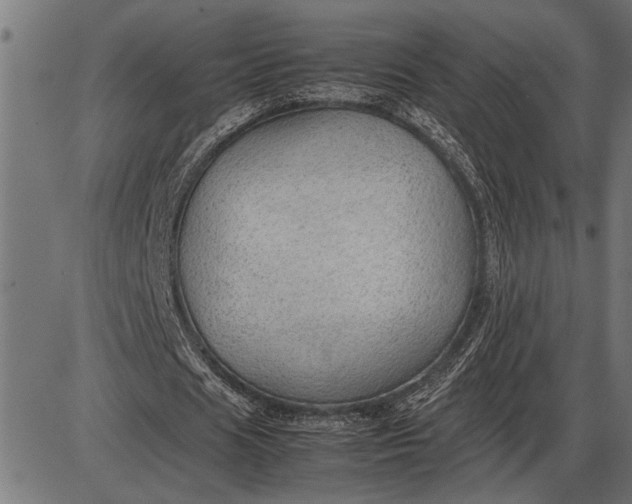 X0000086090625200704091327