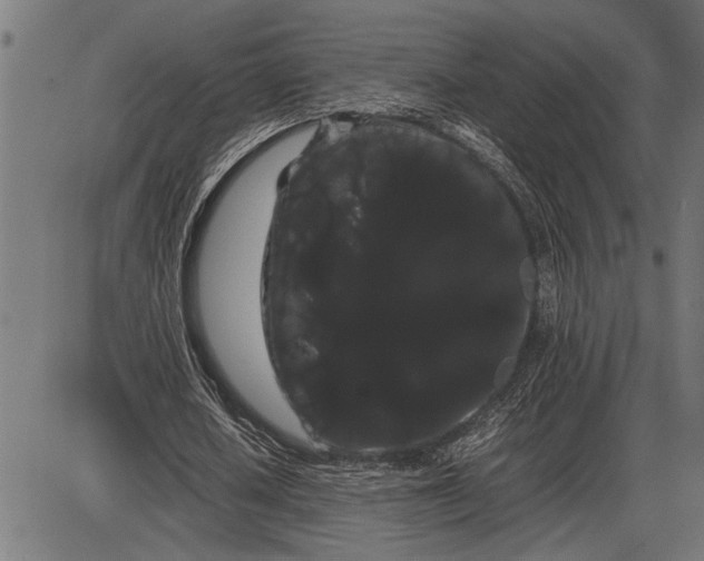 X0000086090626200704091327