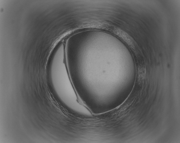 X0000086090628200704091327