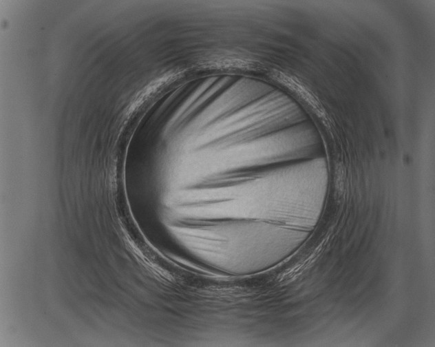 X0000086090629200704091327