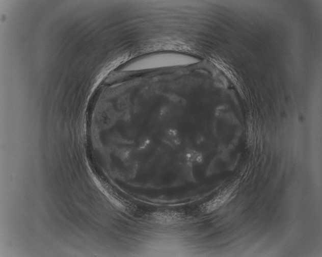 X0000086090630200704091327